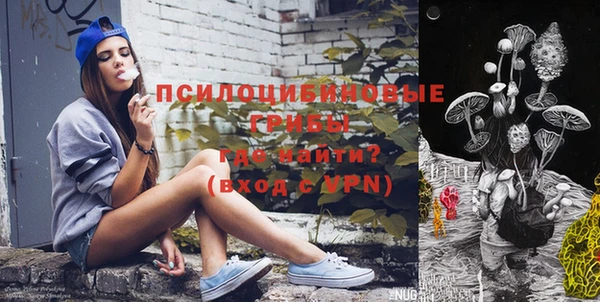 кристаллы Ельня