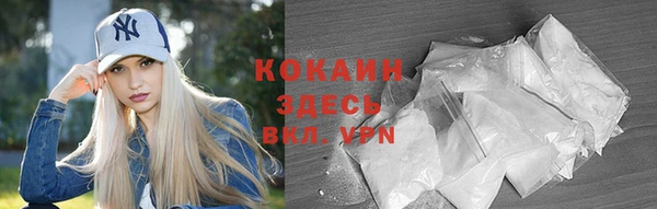 гашик Аркадак