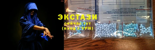 гашик Аркадак