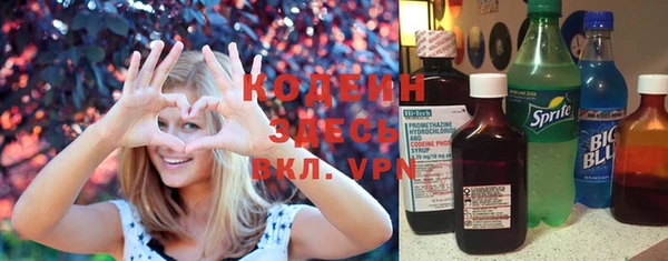 ешки Арсеньев